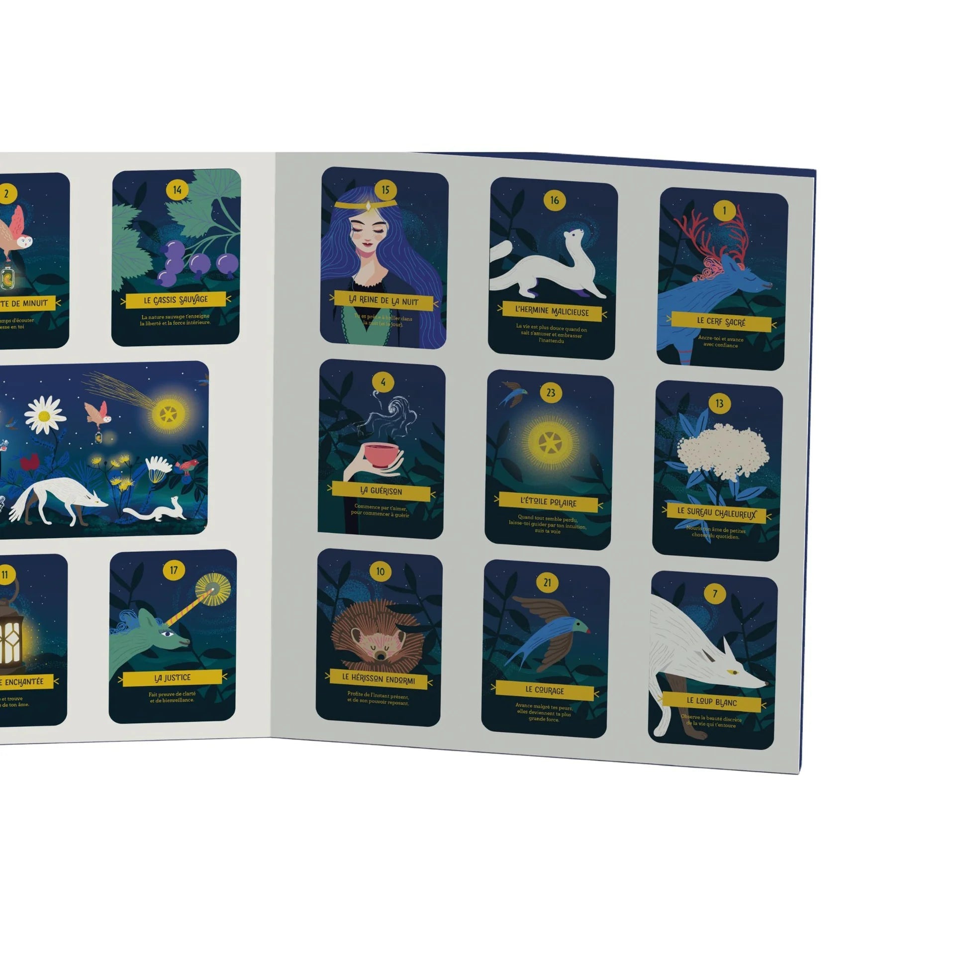 Calendrier de l'avent oracle de la nature bio Biohême - Benedetti