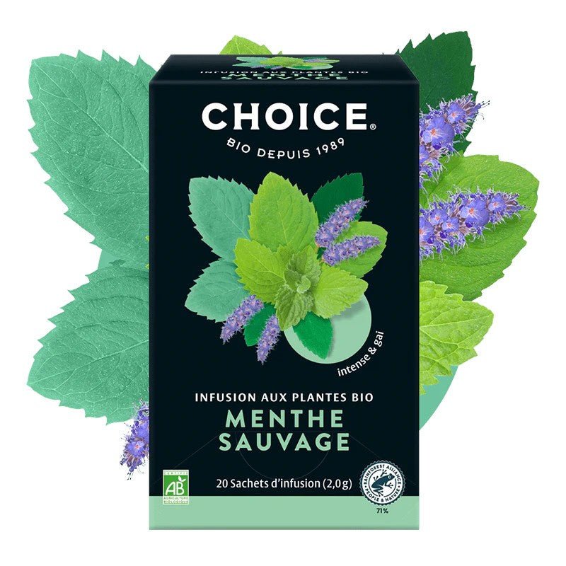Infusions Menthe Sauvage Bio 20 sachets Choice - Benedetti